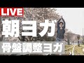 朝ヨガライブ 貯筋してますか？ 骨盤調整ヨガ 今日のマヤ暦【KIN163】青い夜 赤い地球 音7