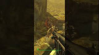 Fallout 4 - Radscorpion Knew It Could Not Win, So It Went On It's Own Terms! #fallout #fallout4