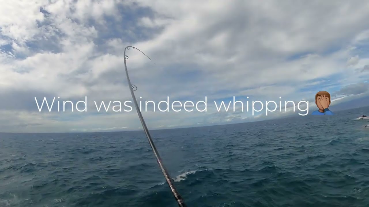 Light shore jigging, kawaihae ,big island , Hawaii-40g jigs