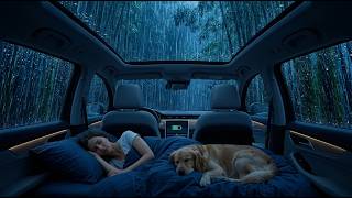 Silent Car Rain | 😴☔ Calm Sleep Inside Car with Soft Rain screenshot 3