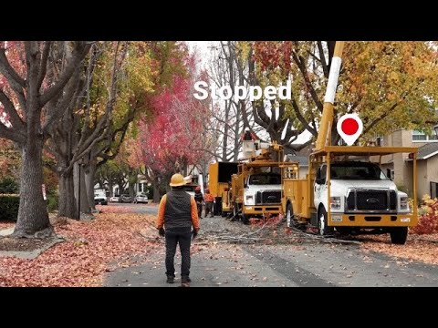 What Sets GPS Insight Apart? - video from FieldAware