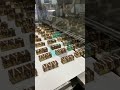 Chocolate Decorating System Food & Confectionery Production