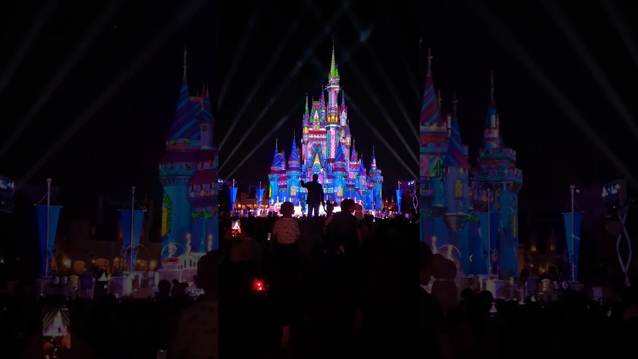 🏰 Taking in the show at Magic Kingdom Florida, November 2025 