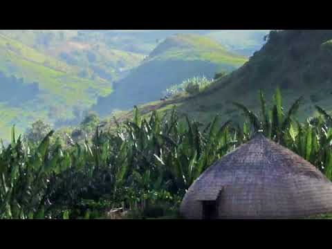 Daniel Tadesse Christian Song