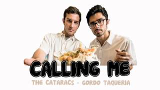Watch Cataracs Calling Me video