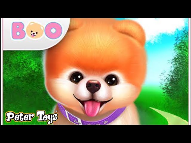 Boo — Cachorro bonitinho – Apps no Google Play