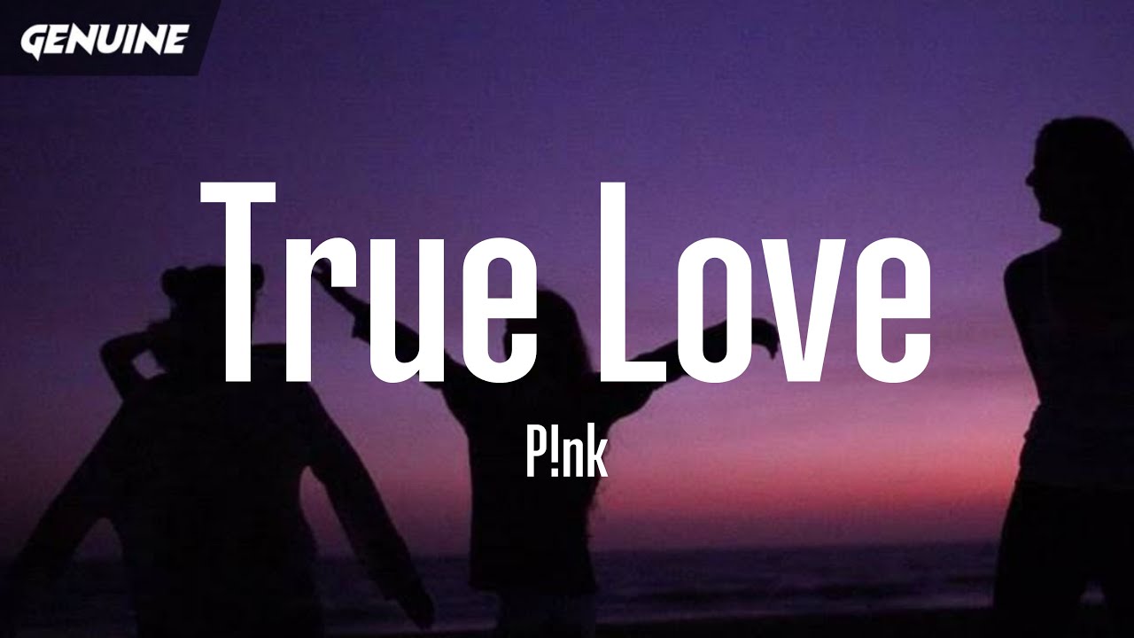 Pink - True Love (Lyrics) i really hate you so much i think it must be true  love [TikTok] 