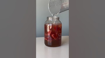 MAKING HOMEMADE STRAWBERRY WINE