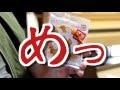 【メシテロ・世界一シリーズ】世界一のせんべい。