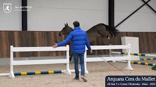 Arquana Cera du Maillet Z