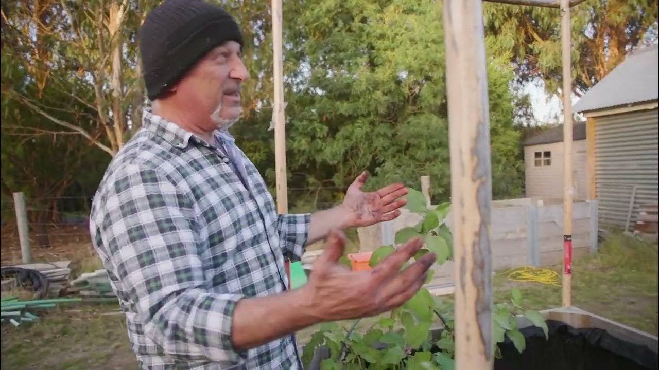 Planting A Raised Garden Bed YouTube
