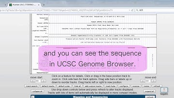 GGGenome: a fast and simple DNA sequence search engine