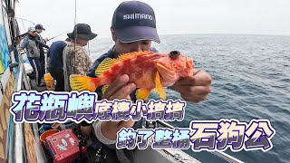 【台客去船釣】生態豐富的花瓶嶼底棲班！紅紅的魚讓你釣也釣不完！feat.萬豪娛樂海釣船 by 台客的耍廢日常 TK Life 24,325 views 1 month ago 18 minutes