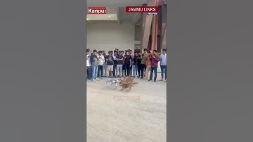 When stray dogs meet robot dog in IIT Kanpur