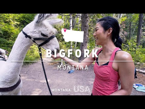 Want to Hike with Llamas? Head to Bigfork, Montana!
