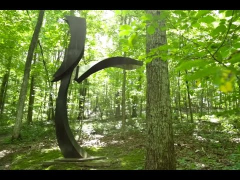 Vidéo: Parc De Sculptures De 100 Acres à Indianapolis - Réseau Matador