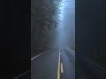 #FOGGY MORNING