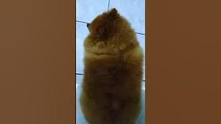 Skin problem because of bacteria , don't use poisonous solutions or medications!!