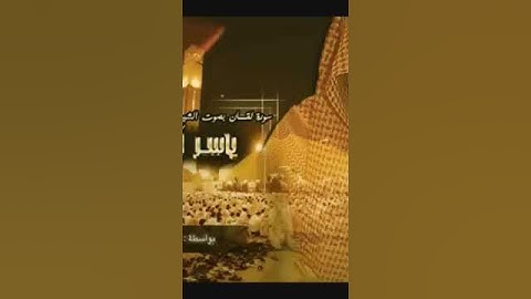 قرآن كريم بصوت الشيخ ياسر الدوسري تلاوه خاشعه من سوره لقمان