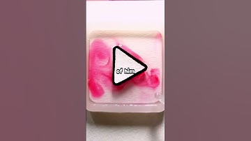 What Is Something You Think Everyone Should Experience In Their Lifetime?