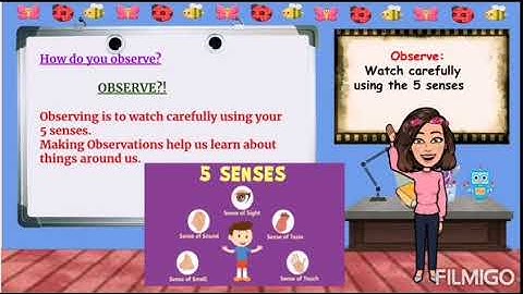 The nature of science grade 1 (lesson 1 to 4)