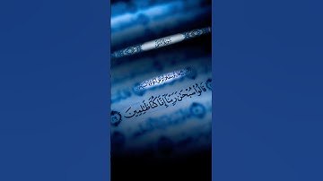 قرآن كريم{ قَالَ أَوْسَطُهُمْ } #قرآن #قران_كريم #quran #اكسبلور #foryou #لايك #capcut #saudiarabia