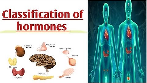 Classification of hormones on the base of their chemical structure