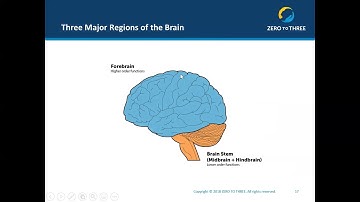 APCA How to Understand the Effect of Attachment Parenting on Brain Development