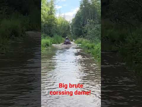 Brute force dame crossing