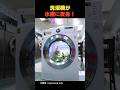 洗濯機が水槽に変身!