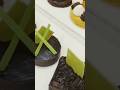 Best Pumpkin & Chocolate Tart Recipe || Easy Fall Dessert || पंपकिन और चॉकलेट टार्ट की आसान रेसिपी