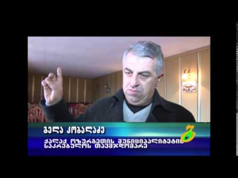 ქალაქ ოზურგეთის საკრებულოს სხდომა