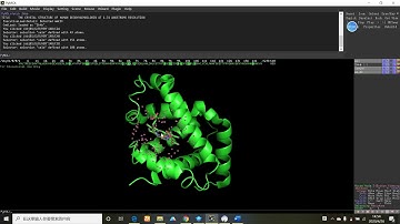 find non polar interaction using Pymol