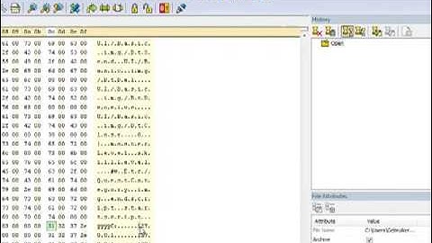 How to hex Edit your localhost to make it public (odinms)