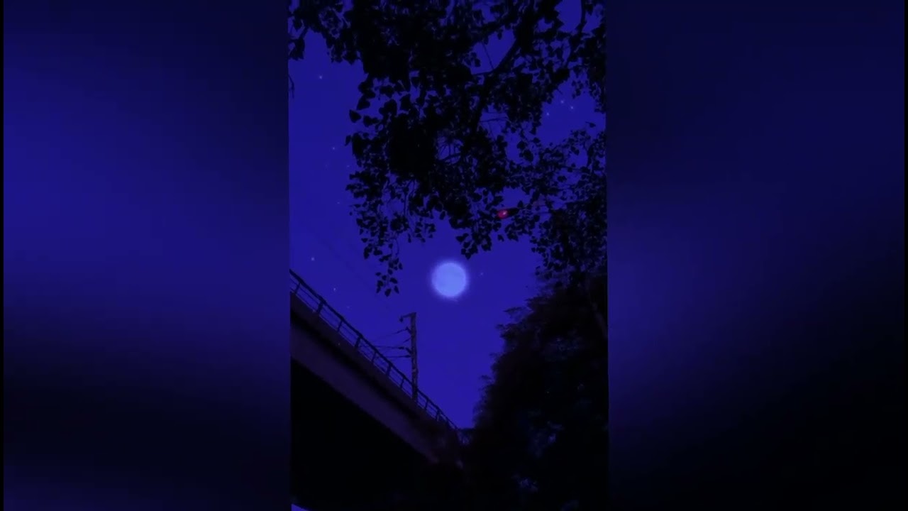 Sub Urban - Skinny Loser (Slowed X Reverb)