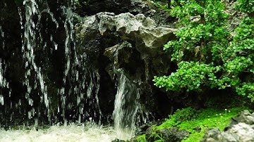 [Tiểu Cảnh] - Hòn non bộ Đại Sơn Thủy Hữu Tình | Hội Nuôi Trồng