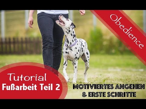 5 Schritte, um ein motiviertes Leben zu führen