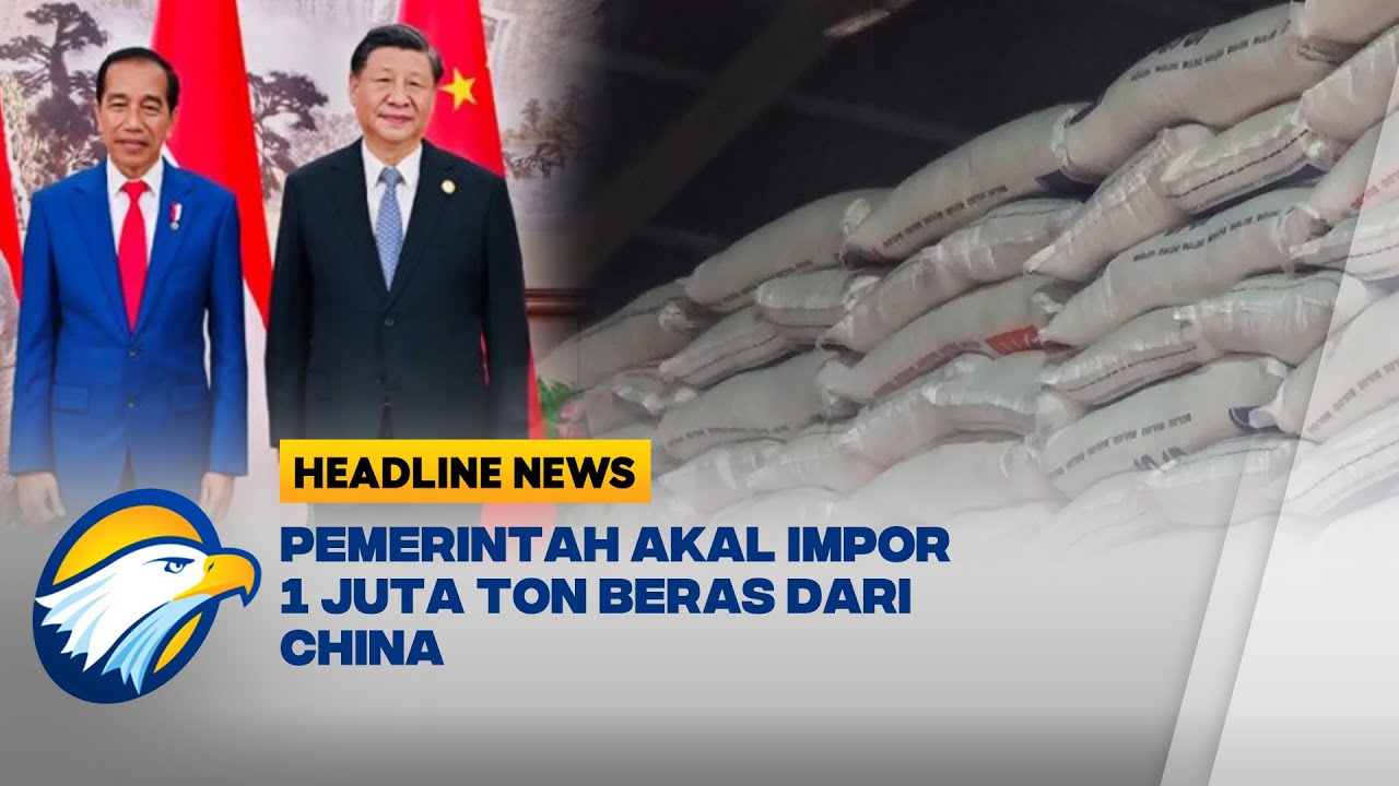 Ini Alasan Pemerintah Impor 1 Juta Ton Beras dari China