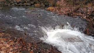 Flowing River Energy | Productive Vibes for Work & Study
