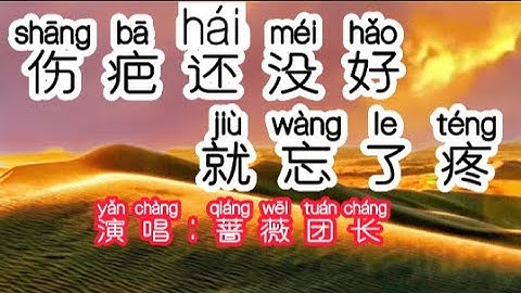 Chinese - 中国語歌ピンイン付き《伤疤还没好就忘了疼》learn Chinese with pop song 听歌学中文64歌声深情伤感，让人动容
