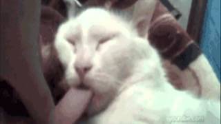 Le Scrawl - Boiling Point