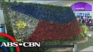 Different PH flag shape made on Independence Day screenshot 2