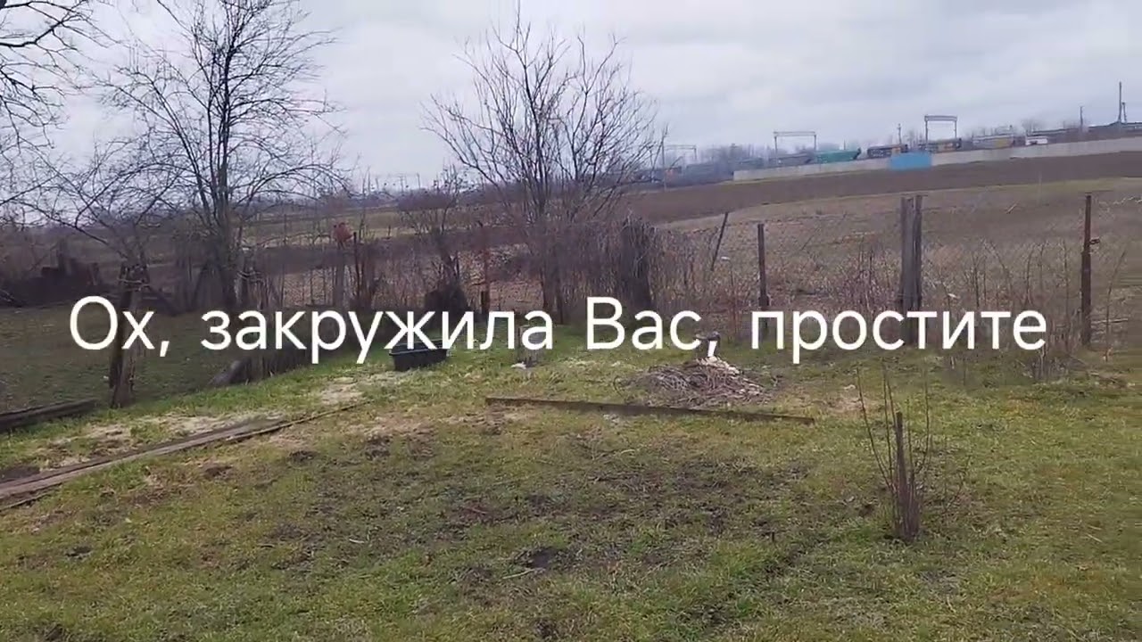 Сею, сею, посеваю, грядки засеваю, тут бац и зима заглянула, 