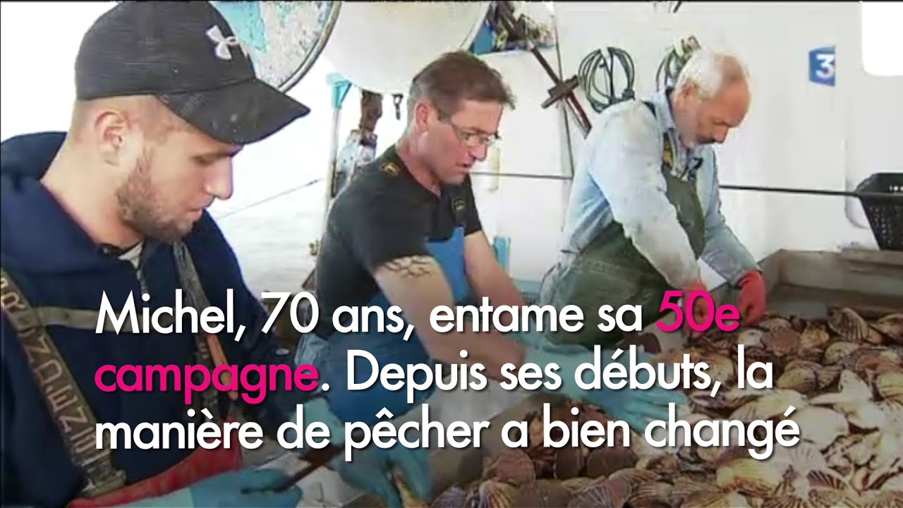 Jour de pêche à la coquille Saint Jacques dans le pertuis breton