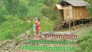 FULL VIDEO: 140 days of building farms, vegetable gardens, bamboo houses  farm life