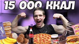 15 000 КАЛОРИЙ ЗА 24 ЧАСА (Я СДЕЛАЛ ЭТО!?) 15 000 CALORIE CHALLENGE