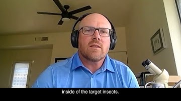 Advion Insecticide with the MetaActive Effect – Pest Insights