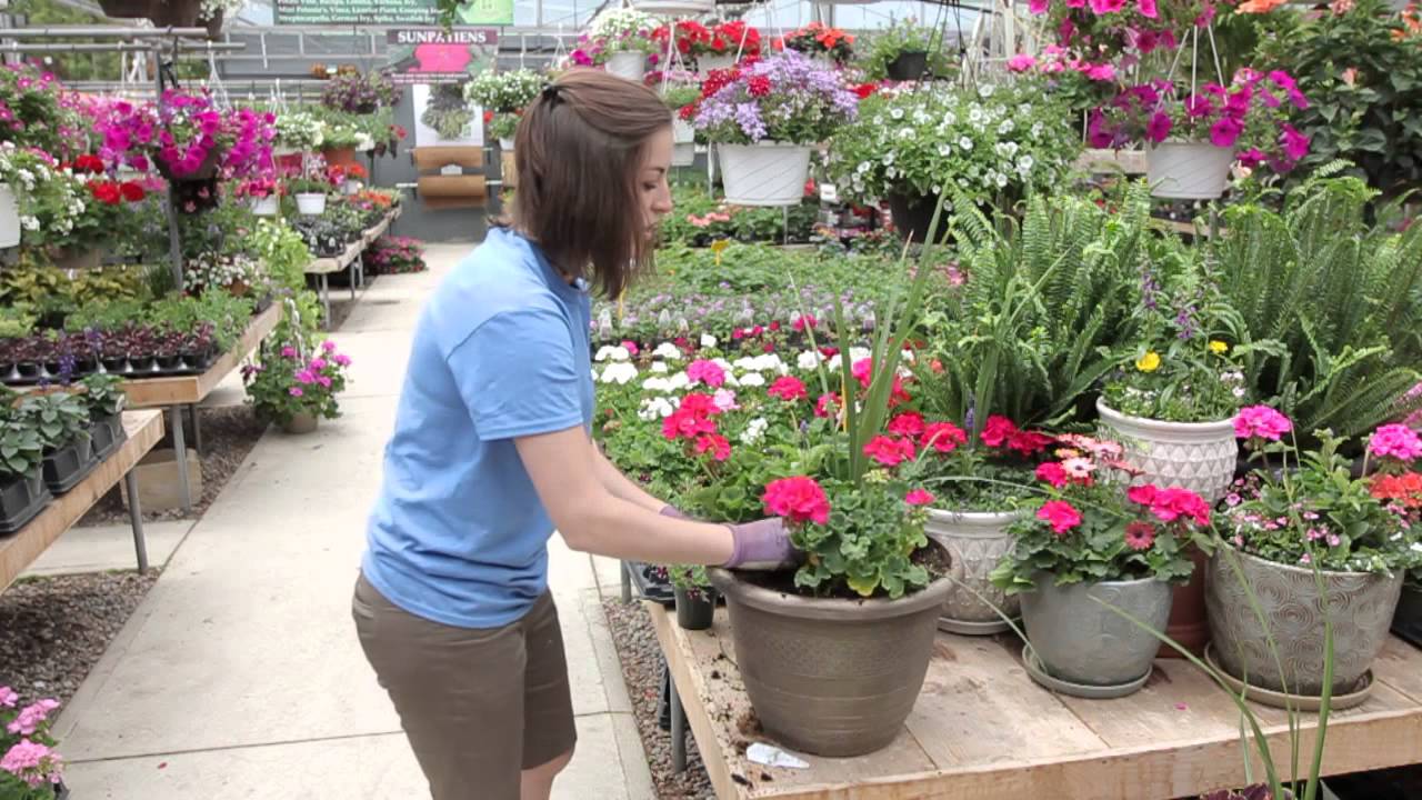 Custom planters at The Glasshouse