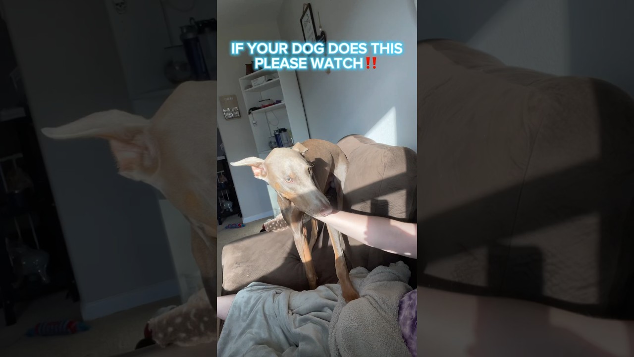 remember to be consistent 