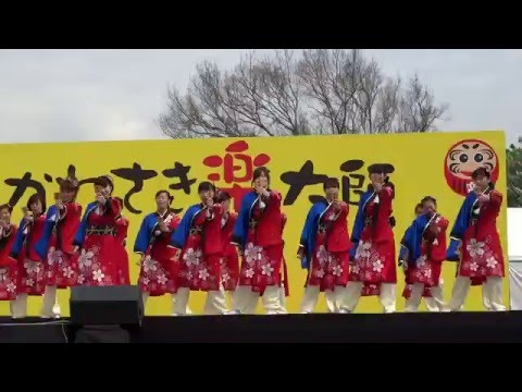 踊りゃん祭『合縁』／第12回かわさき楽大師厄除よさこい2016